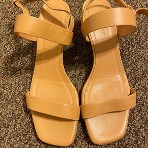 Everlane sandal